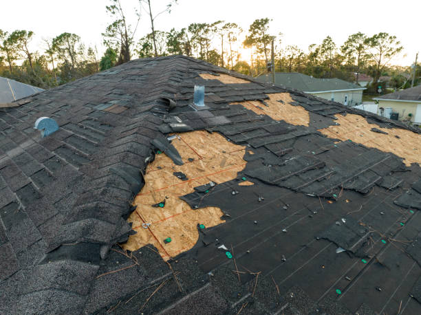 Best Roof Maintenance and Cleaning  in Coarsegold, CA